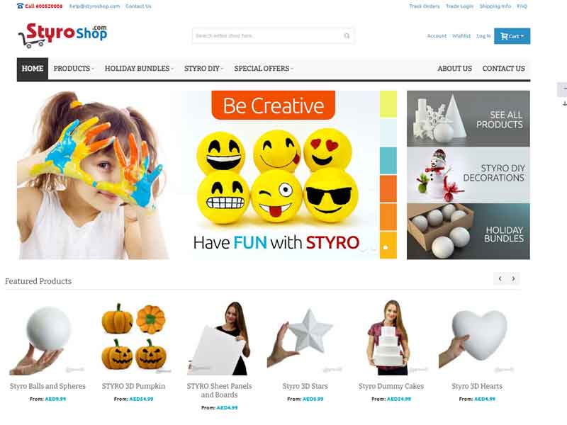 Styro Infobahn Website Work