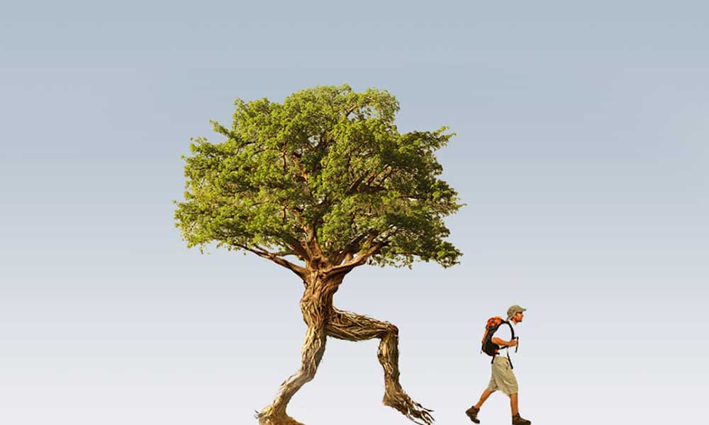 Property CRM Software in Dubai